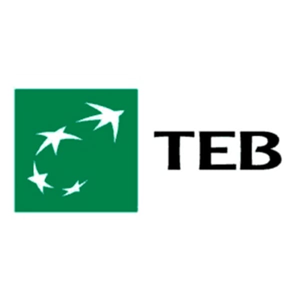 TEB